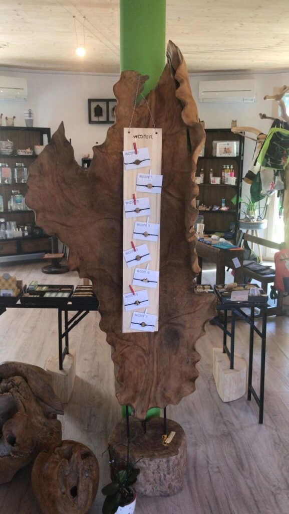 Image #1 de Vincent Marti Jocelyne Dinten