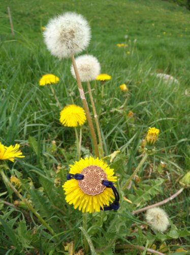 Image #1 de Joséphine