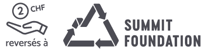 Logo Summit Foundation