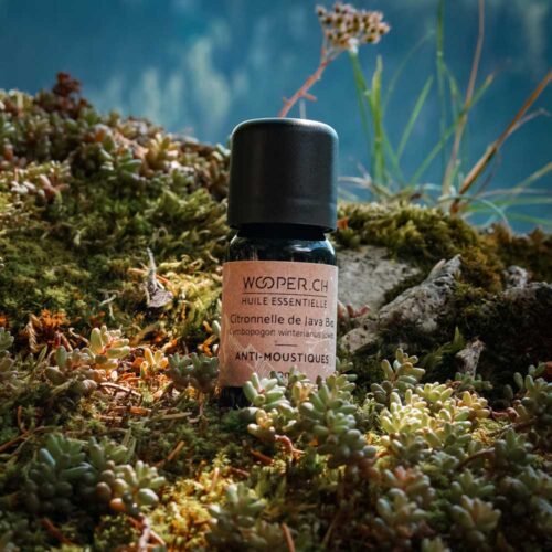 Huile essentielle de citronnelle de Java Bio - anti-moustiques