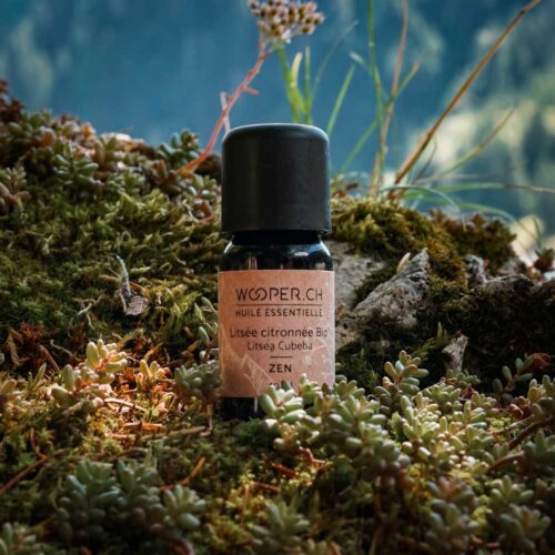 Huile essentielle de Litsée citronnée bio - Zen