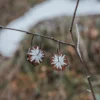 Boucles d'oreilles créoles en bois Polär, inspirées du givre et de la glace