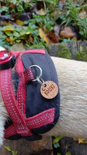 Image #1 de Laure C.