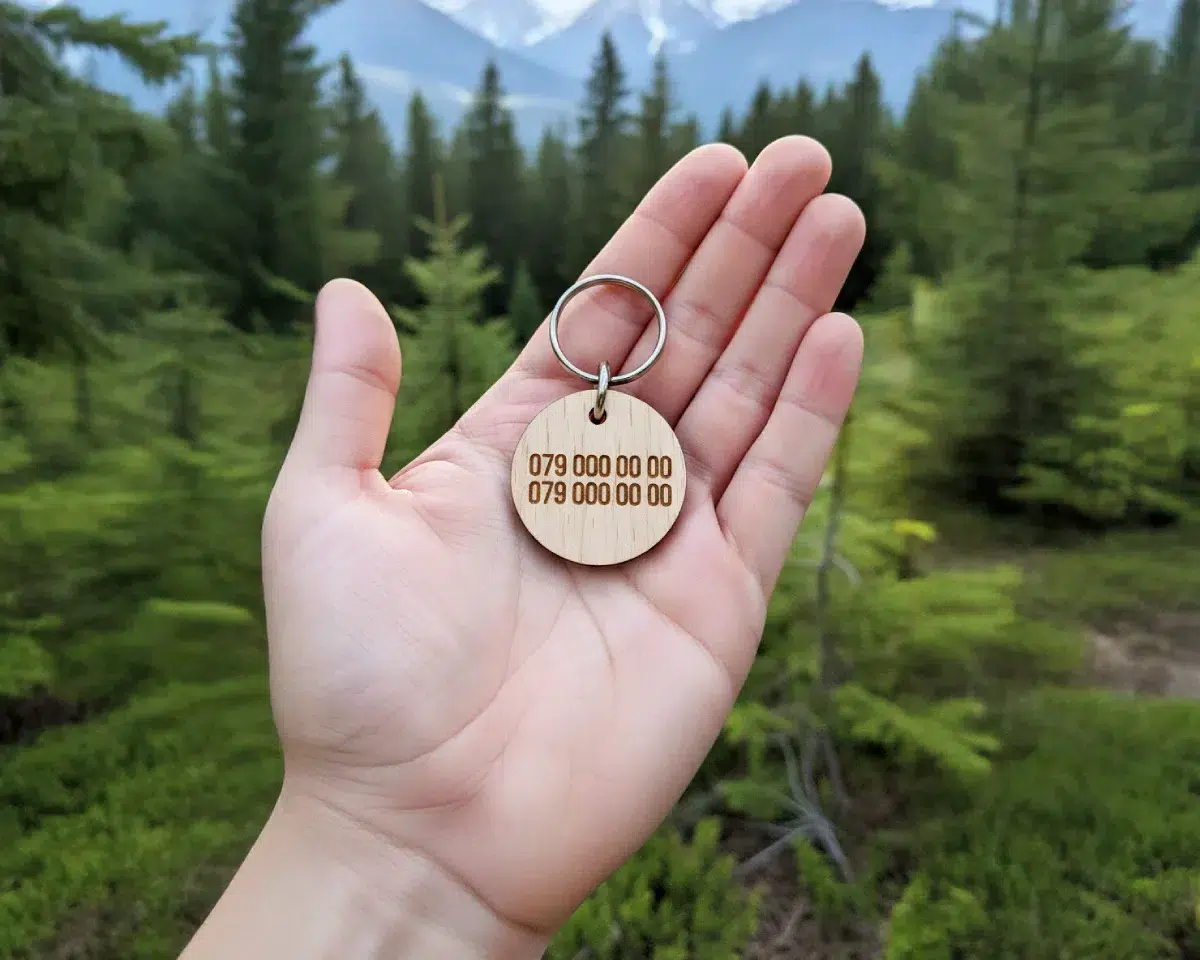 Médaille pour animaux avec coordonnées gravées au dos.
