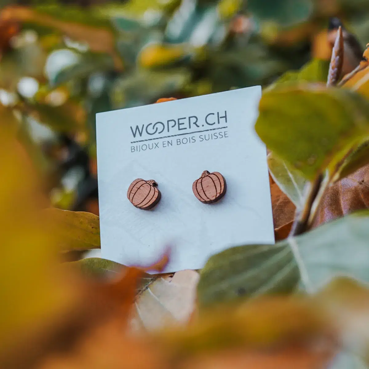 Clous d'oreilles en bois Courge