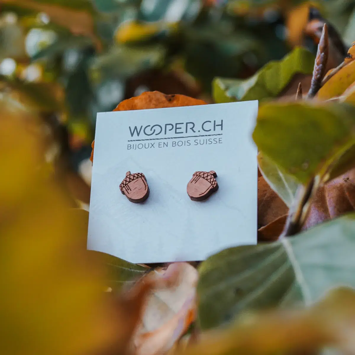 Clous-oreilles-en-bois-gland-3.webp Clous d'oreilles en bois Gland