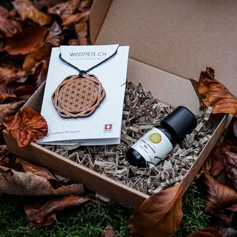 Diffuseur d'huiles essentielles en bois Fleur de vie