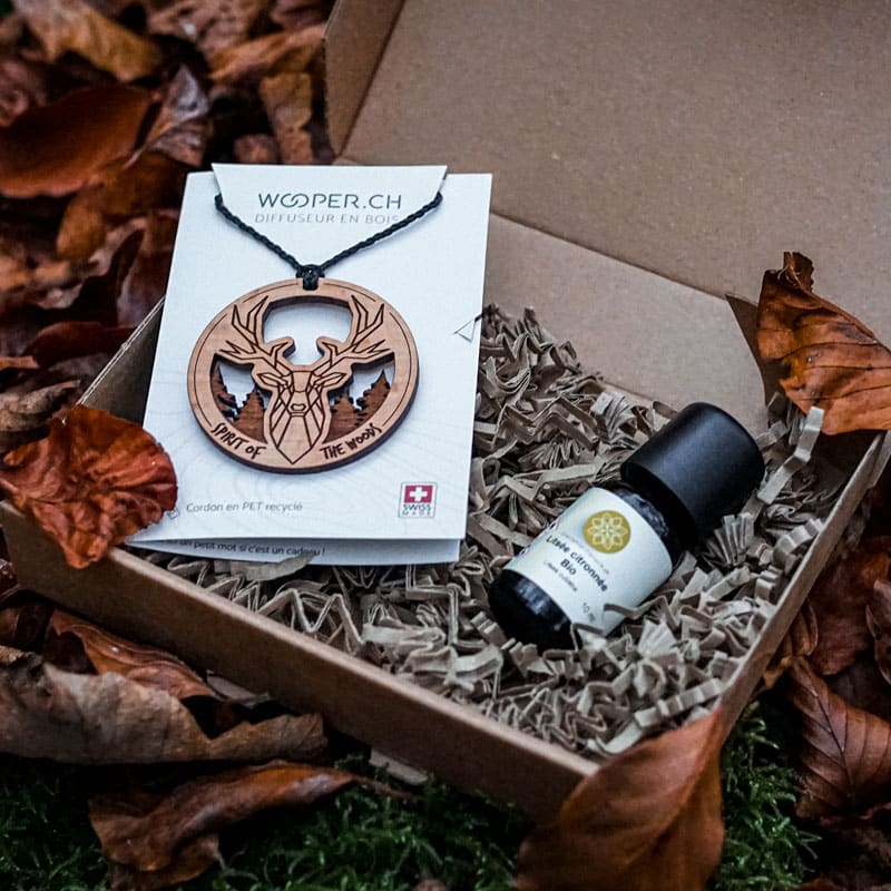 Diffuseur d'huiles essentielles en bois Spirit of the woods