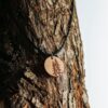 Collier en bois Pinver