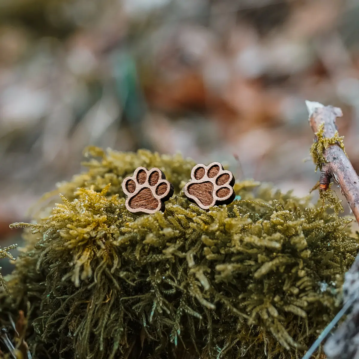 Clous d'oreilles en bois Patte