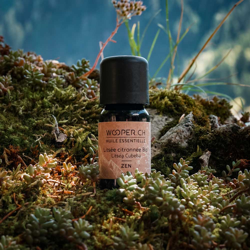 huile-essentielle-litsee-zen.jpg Huile essentielle de Litsée citronnée Bio - Zen